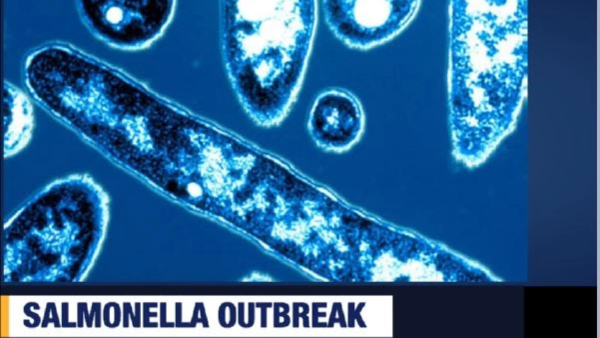 FDA: Salmonella outbreak linked to North Brunswick business
