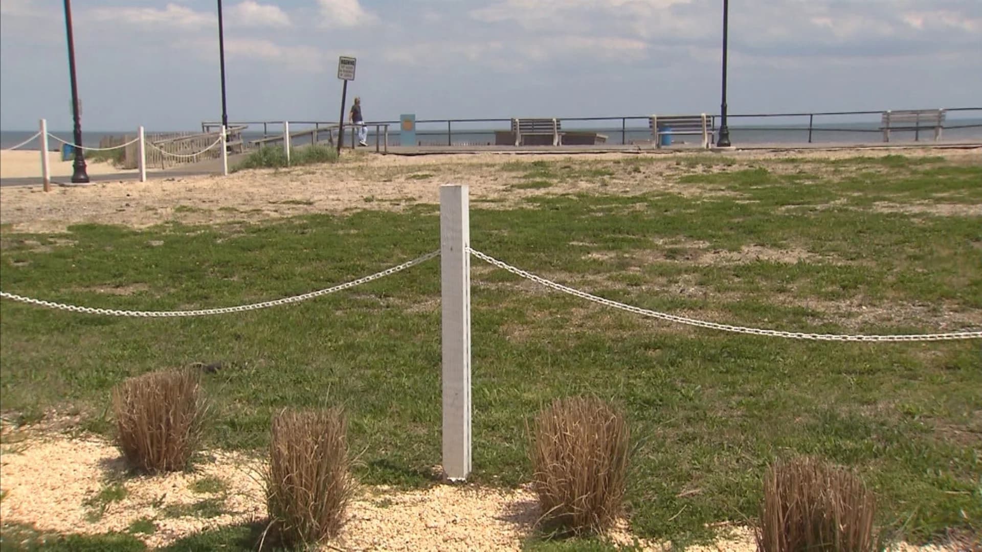 Environmental group fights against building homes in Bradley Cove section of Asbury Park
