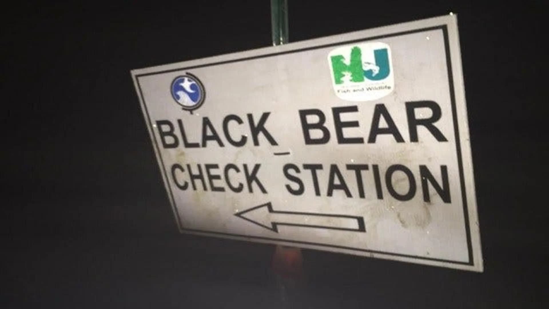 DEP: 68 black bears culled during second phase of hunt