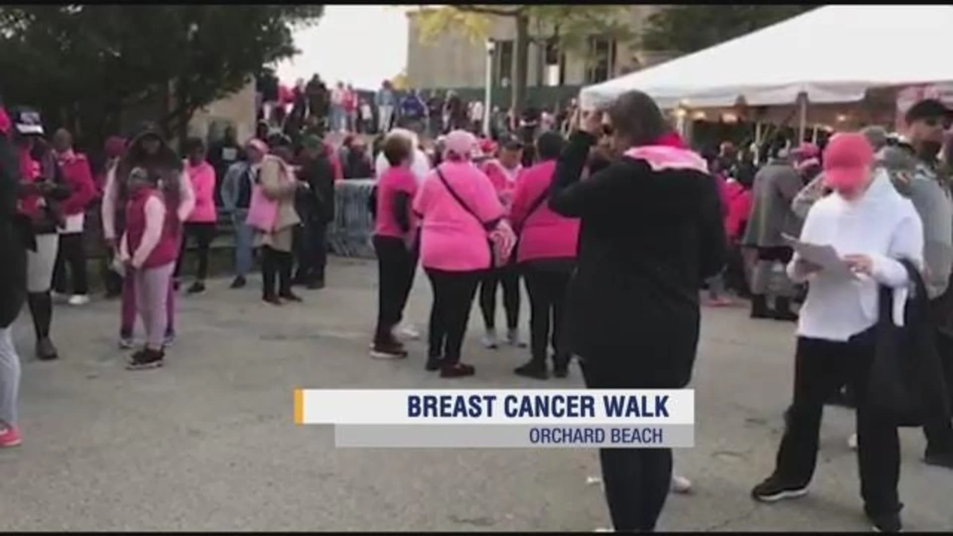 Thousands take part in breast cancer walk at Orchard Beach