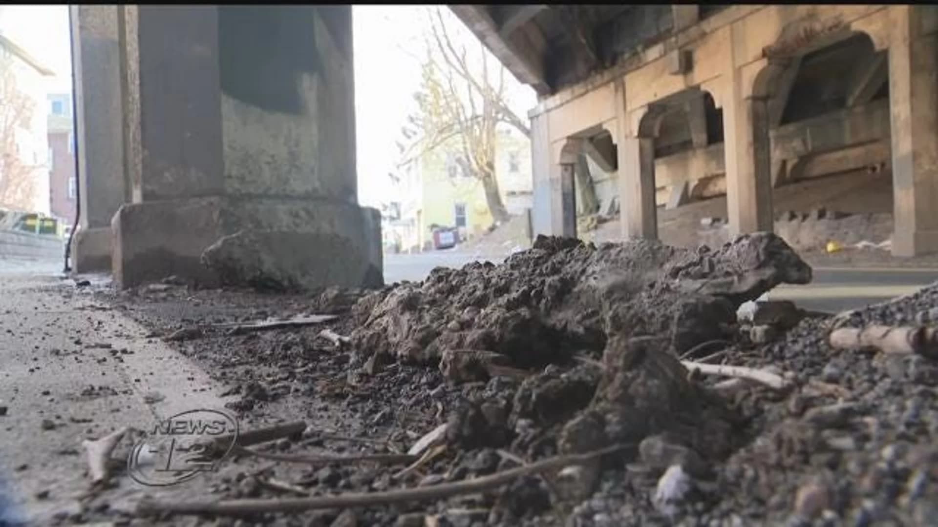 Driver says falling pieces of deteriorating bridge damaged his SUV