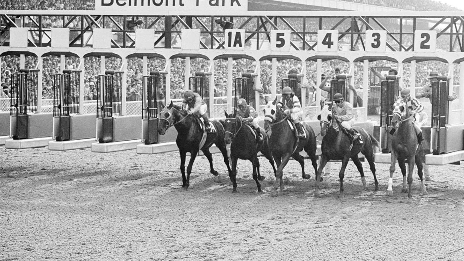 Mind Game Monday: Belmont Stakes