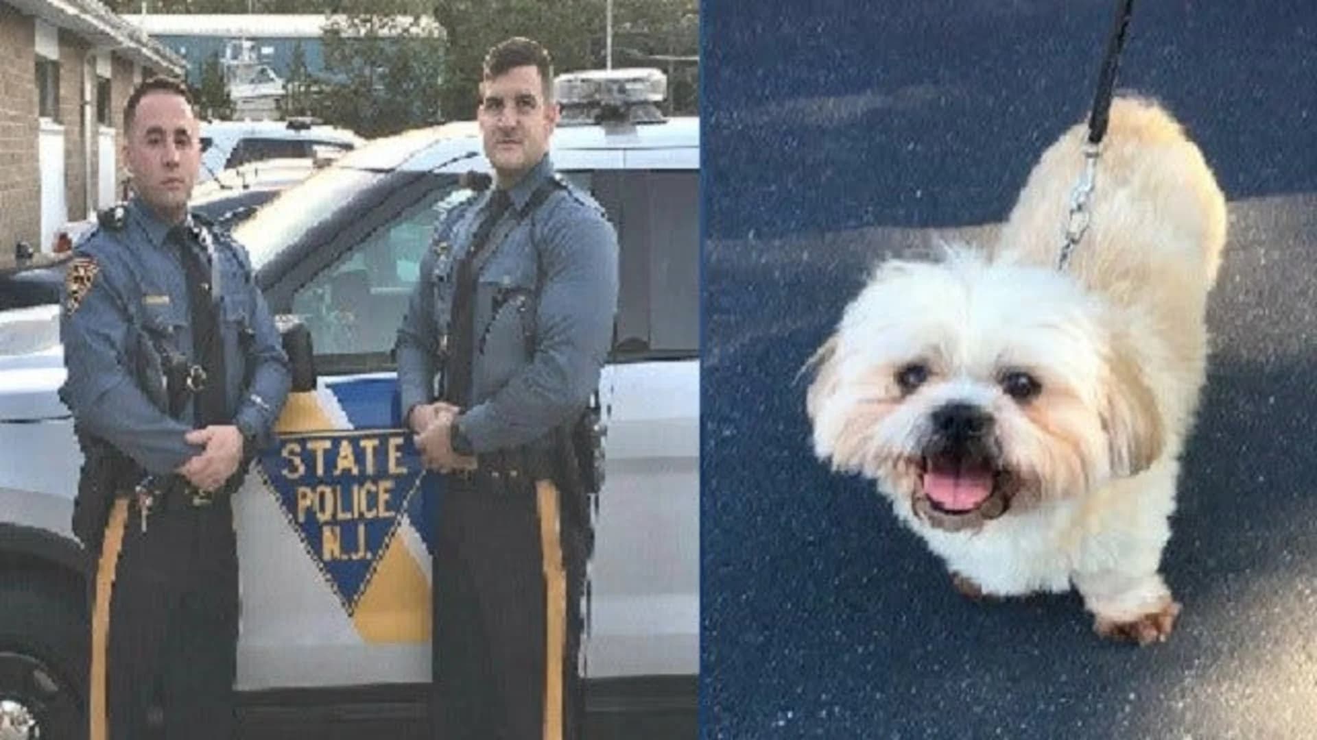 Troopers rescue toddler, dog locked inside hot car