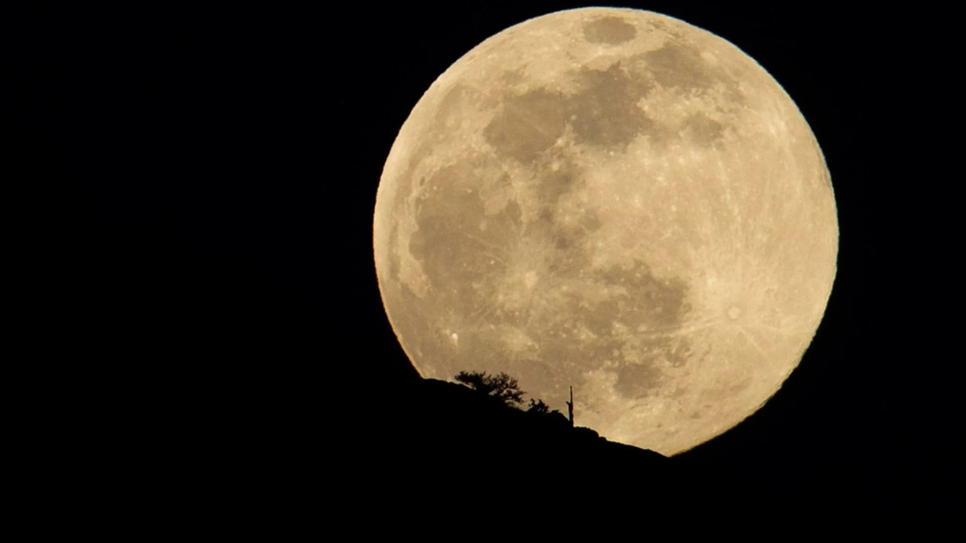 'Snow moon' dazzles stargazers -- here's when to see the next supermoon
