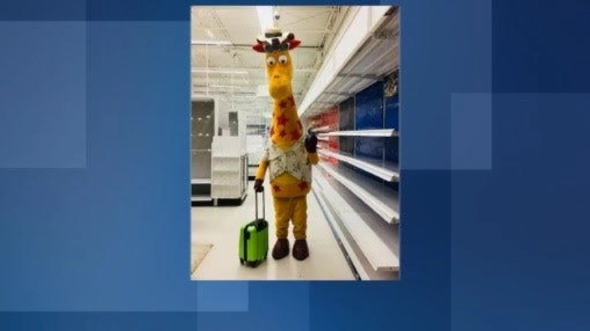San Antonio zoo wants to offer Geoffrey the Giraffe a job