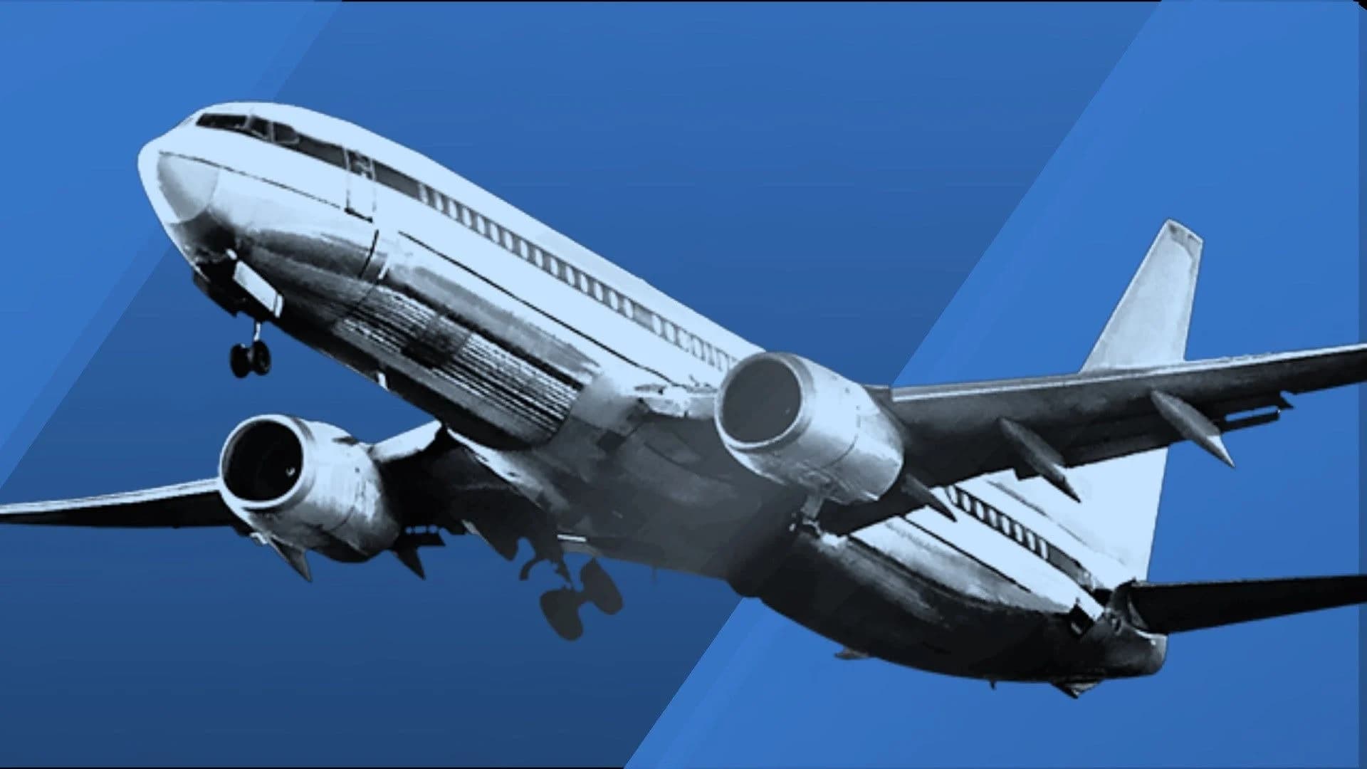 Flight en route to New York City diverted after flight attendant dies