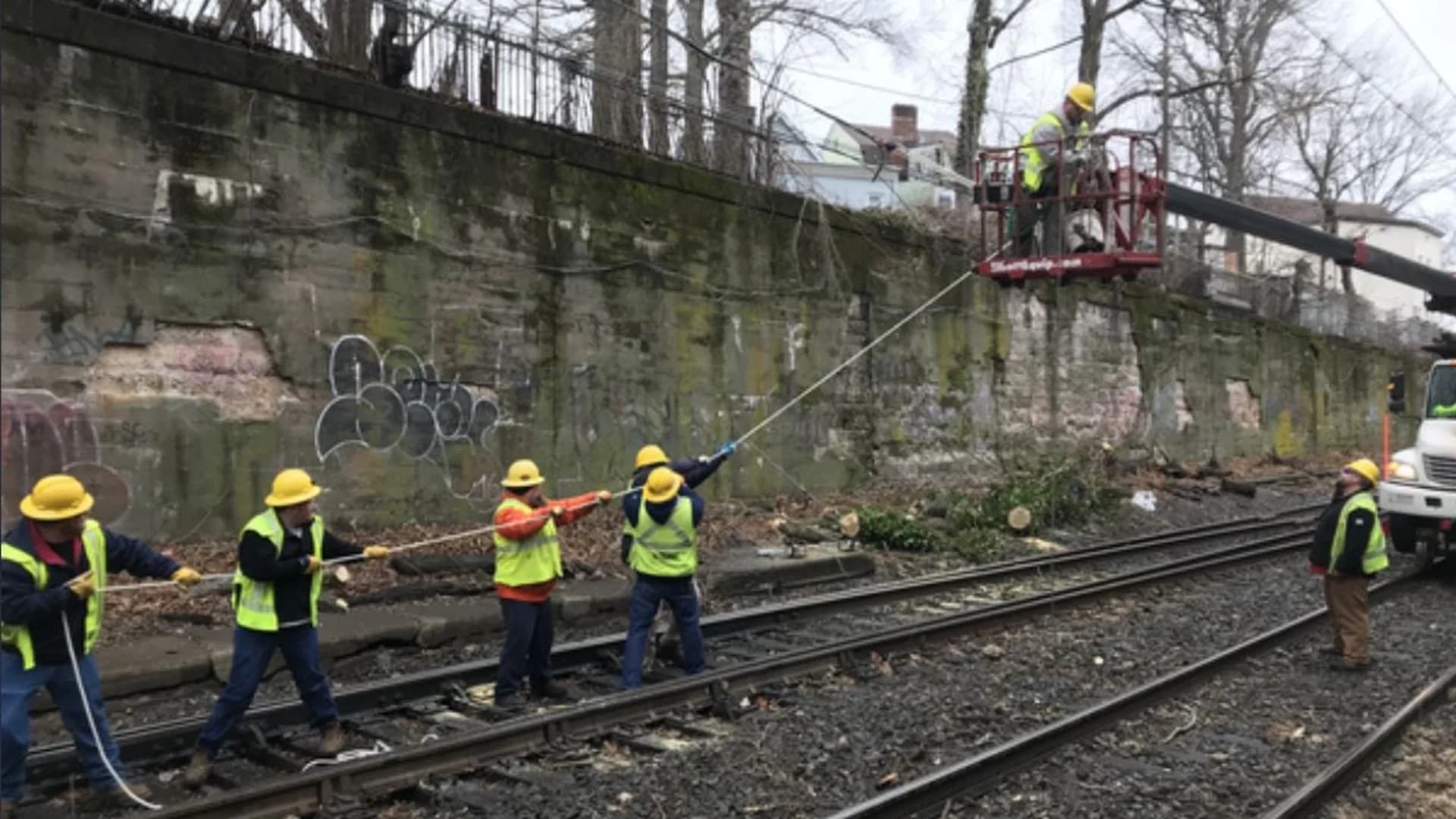 Fallen tree on NJ Transit tracks near Newark Broad Street Station causes delays