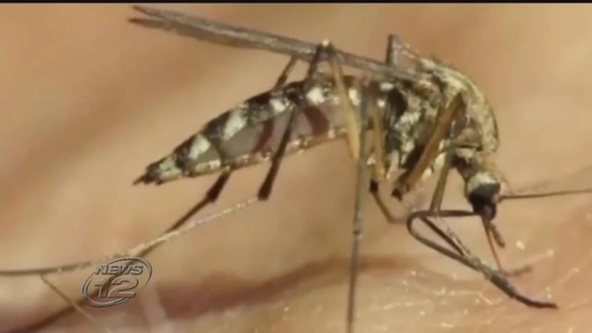 New Jersey on alert amid human cases of Eastern Equine Encephalitis