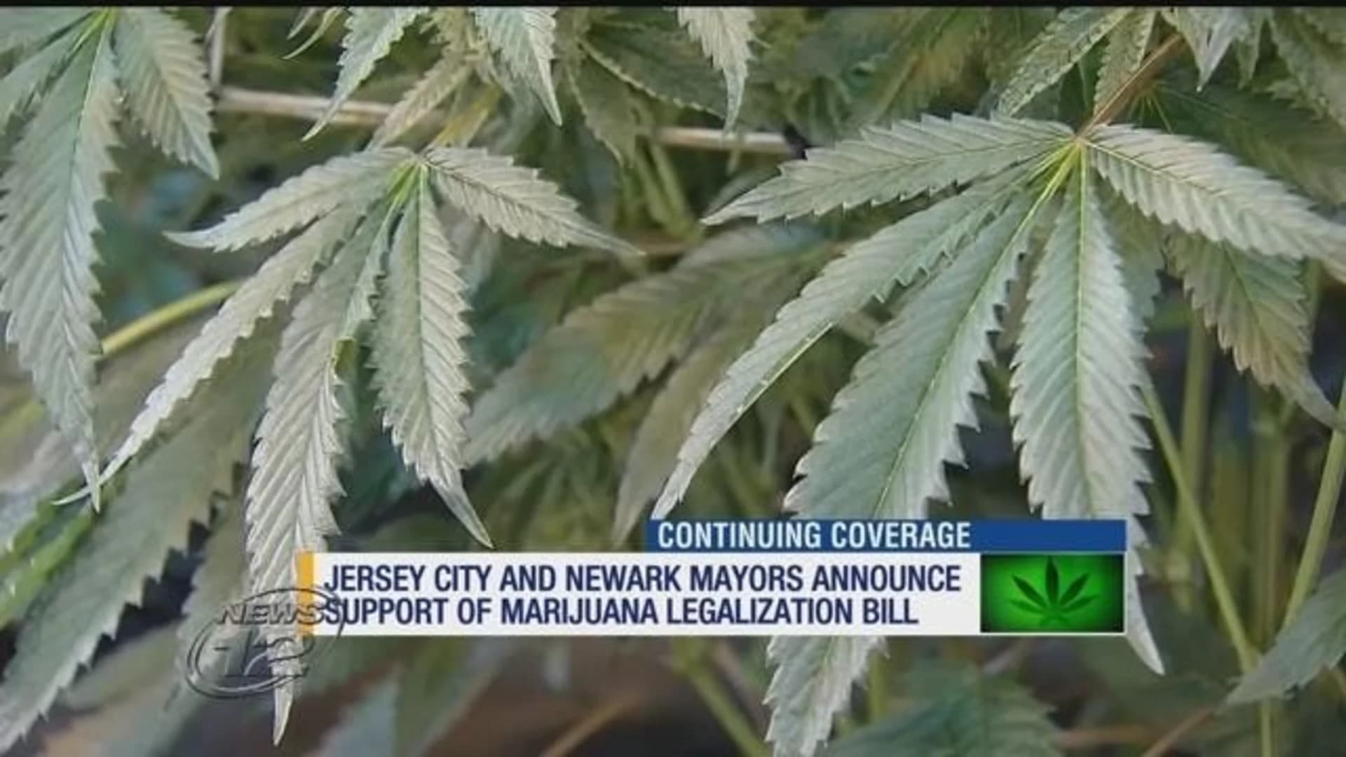 Jersey City, Newark mayors announce support of pot legalization bill