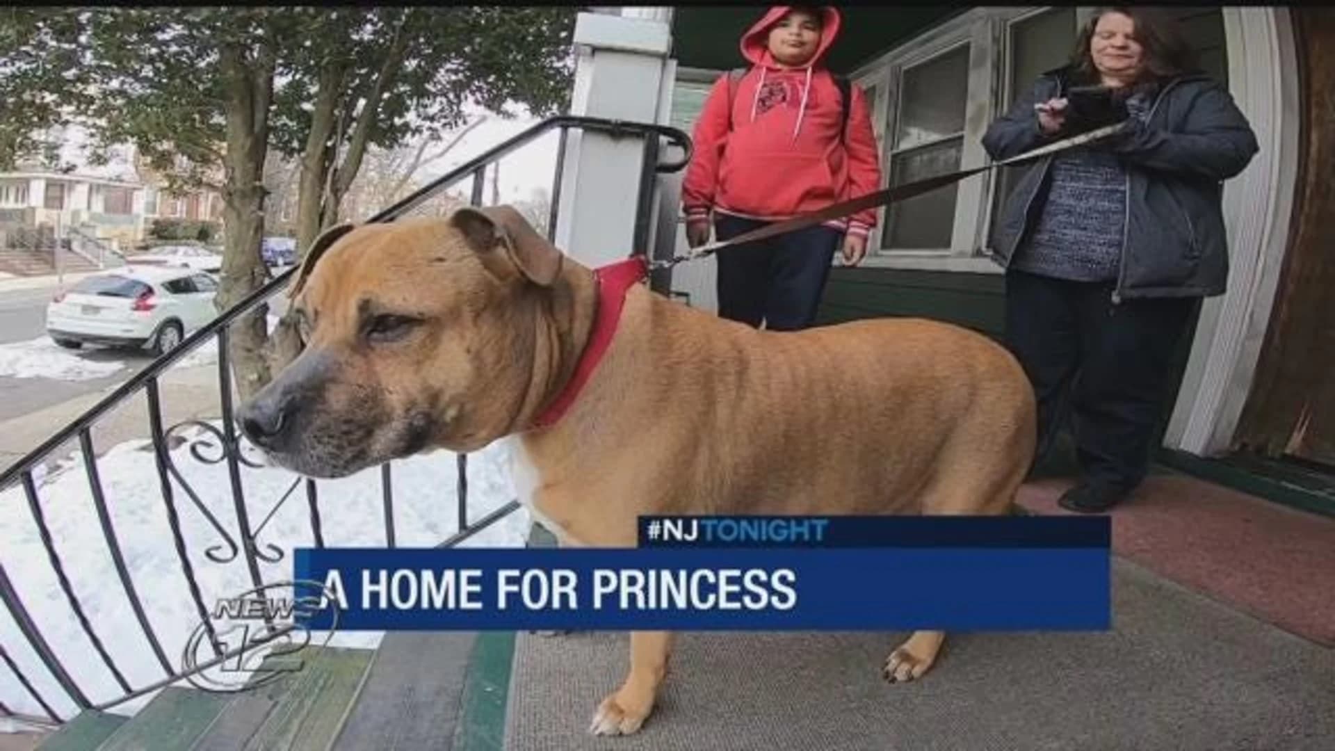 Last dog left to be adopted from shelter finds new home