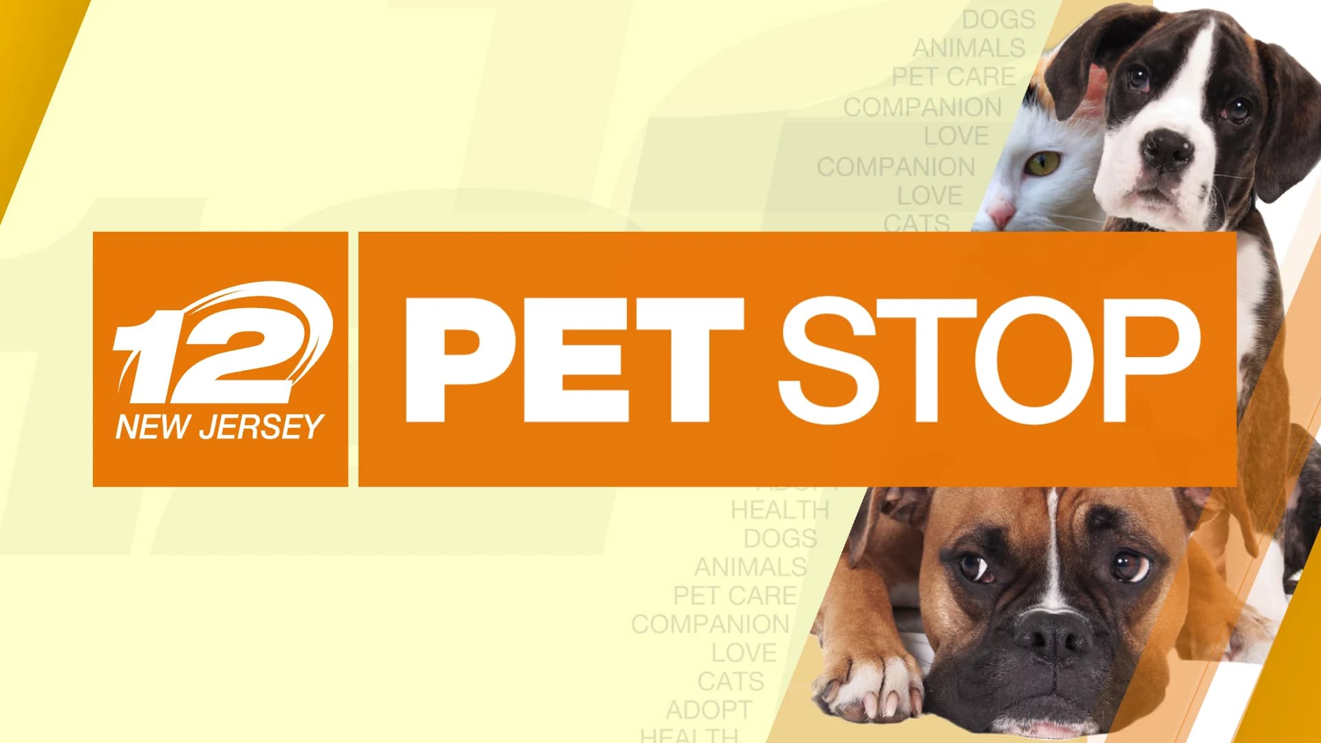 2018 The Pet Stop Information
