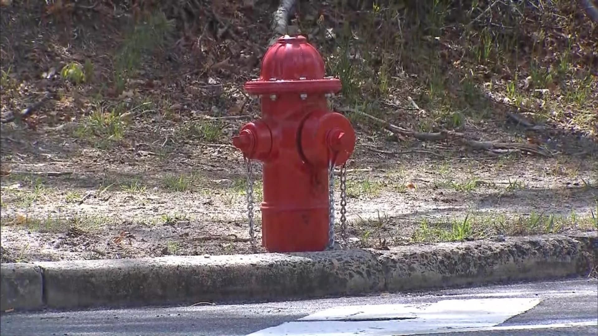 Police look for person who stole fire hydrant in Lacey Township