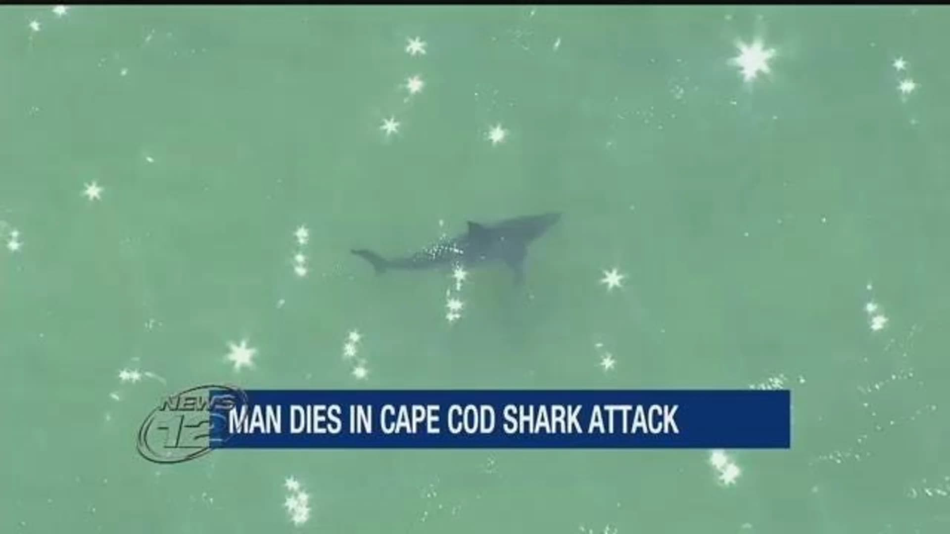 Police: Man dies after shark attack off Cape Cod