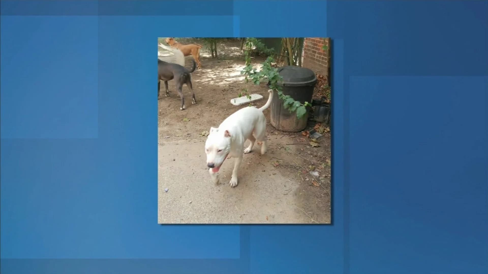 Passaic officer shoots, kills Bergen County animal control officer’s dog