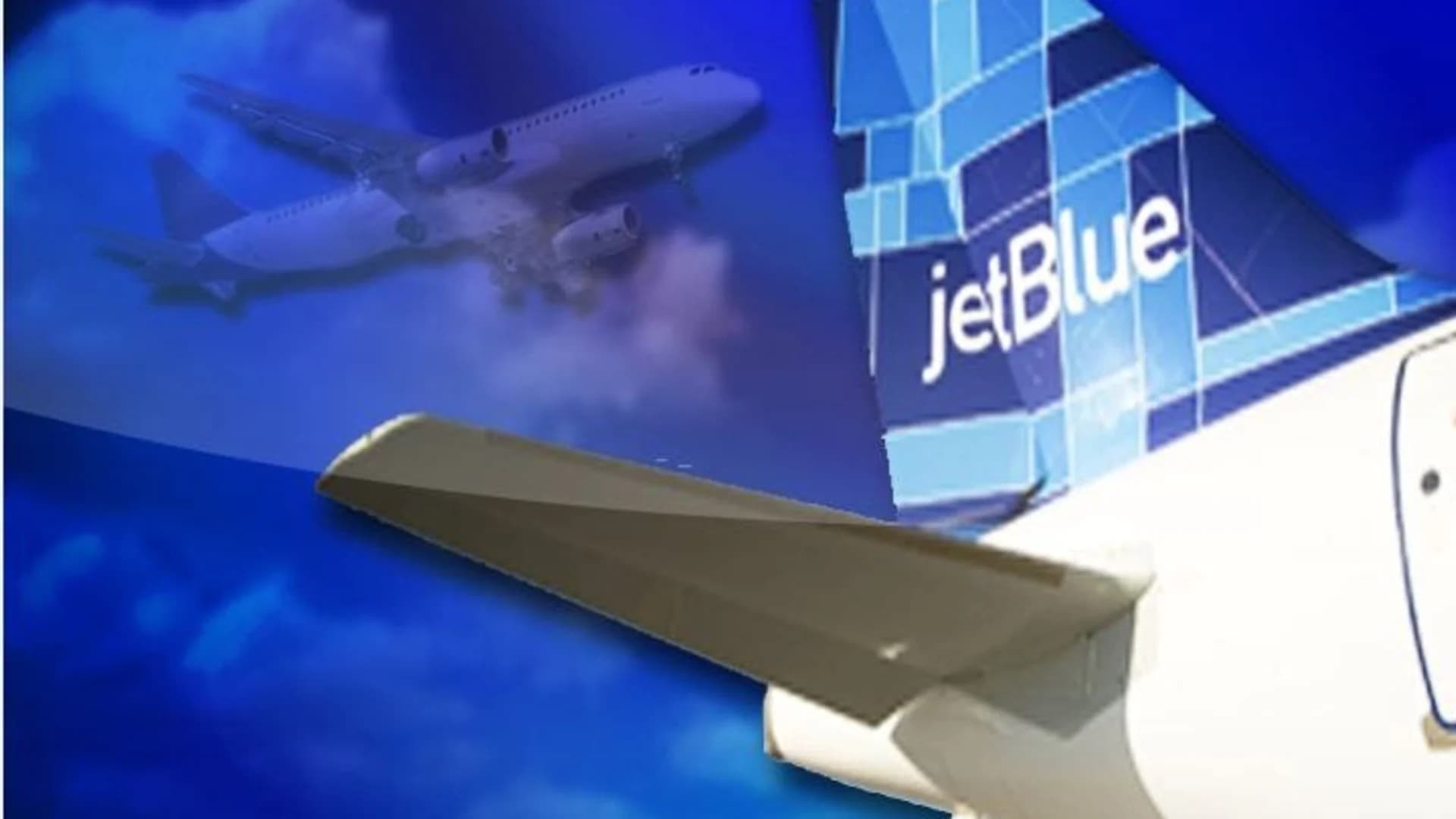 JetBlue plane strikes birds, makes safe emergency landing