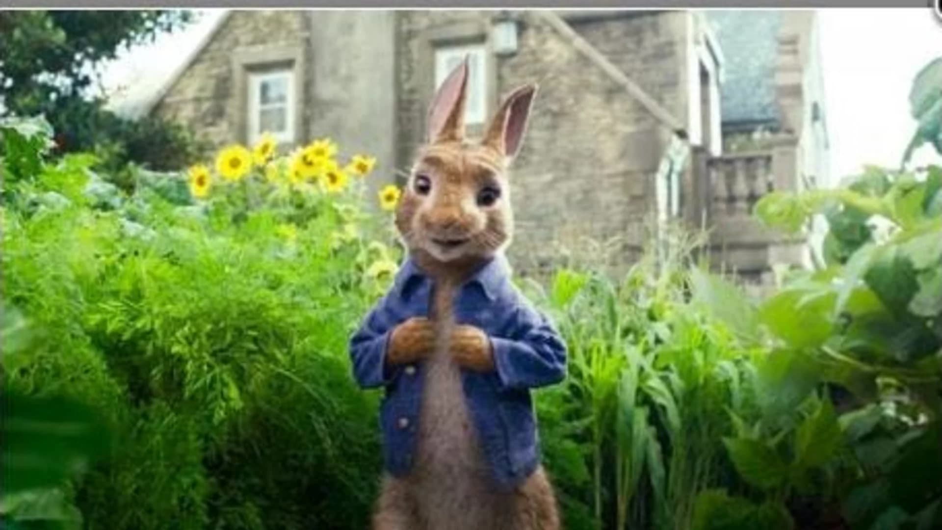 'Peter Rabbit' team apologizes for making light of allergies