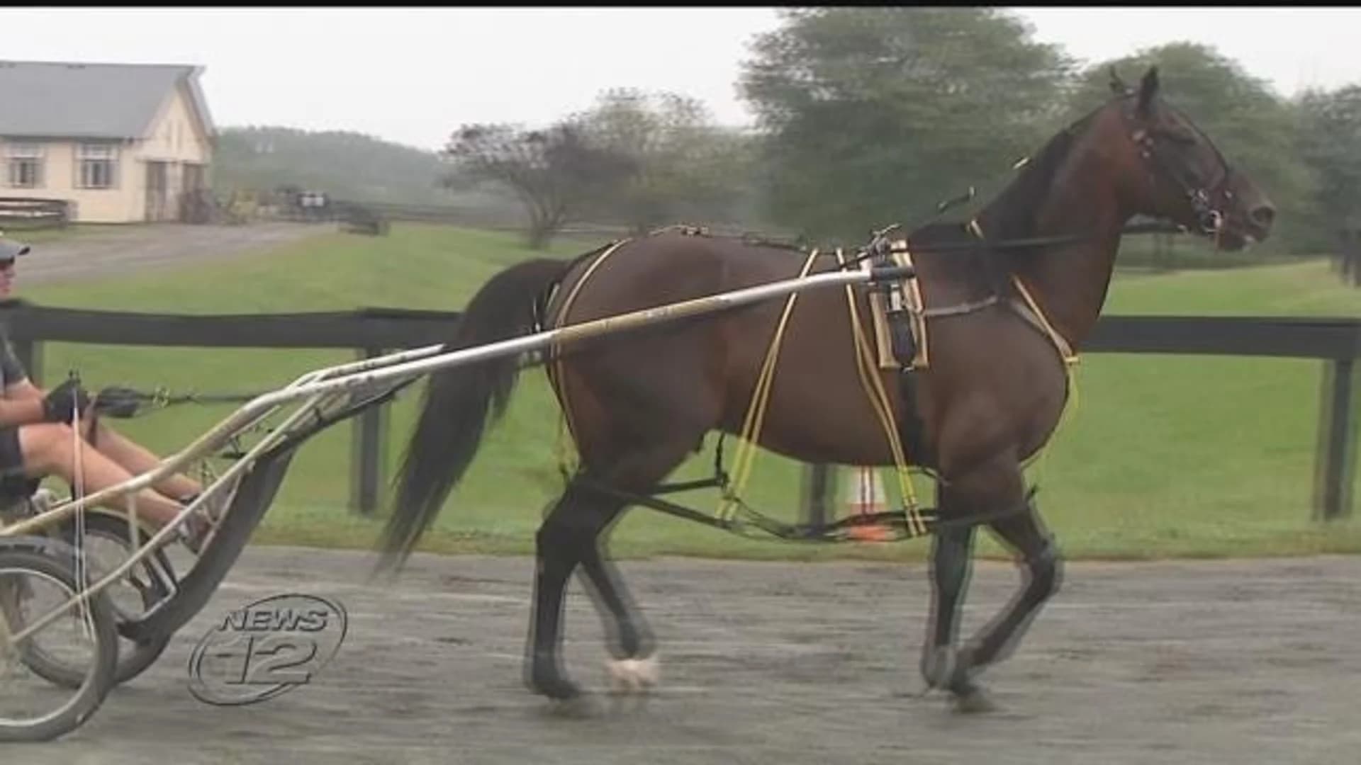 Record-setting harness racing horse retires at age 14