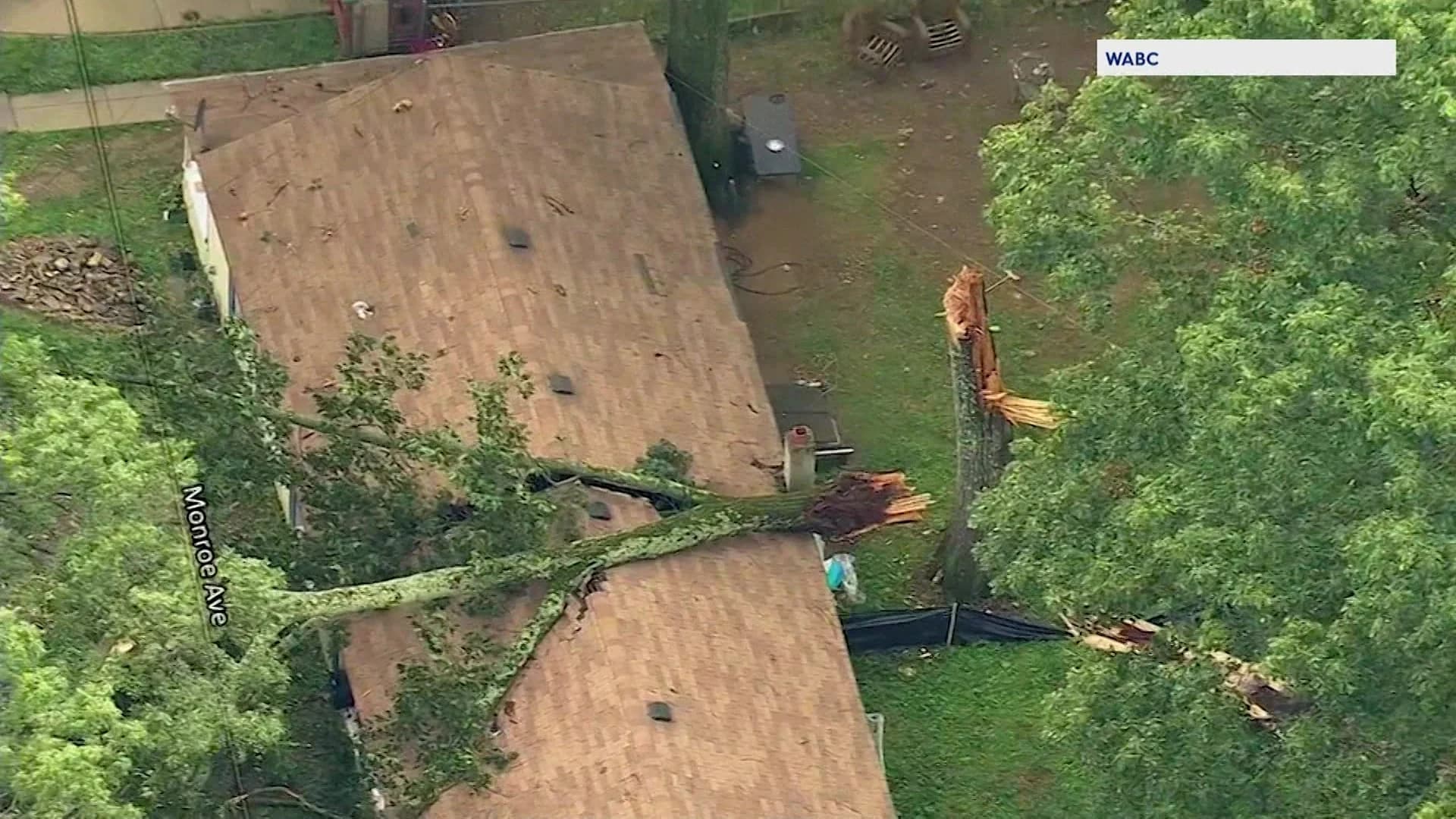 Officials: Families displaced when trees fall near homes in Victory Gardens