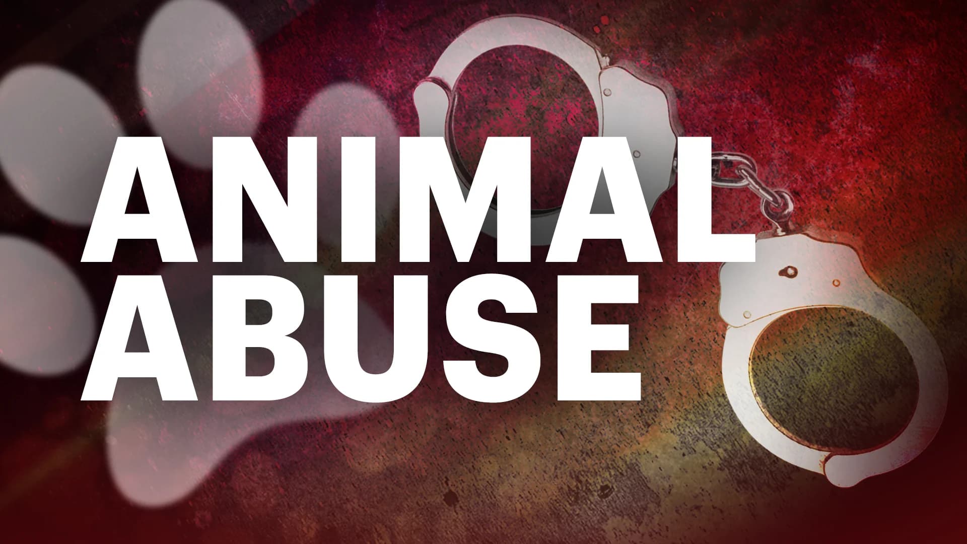 Prosecutor: Asbury Park man admits to sexually abusing, killing pet cat