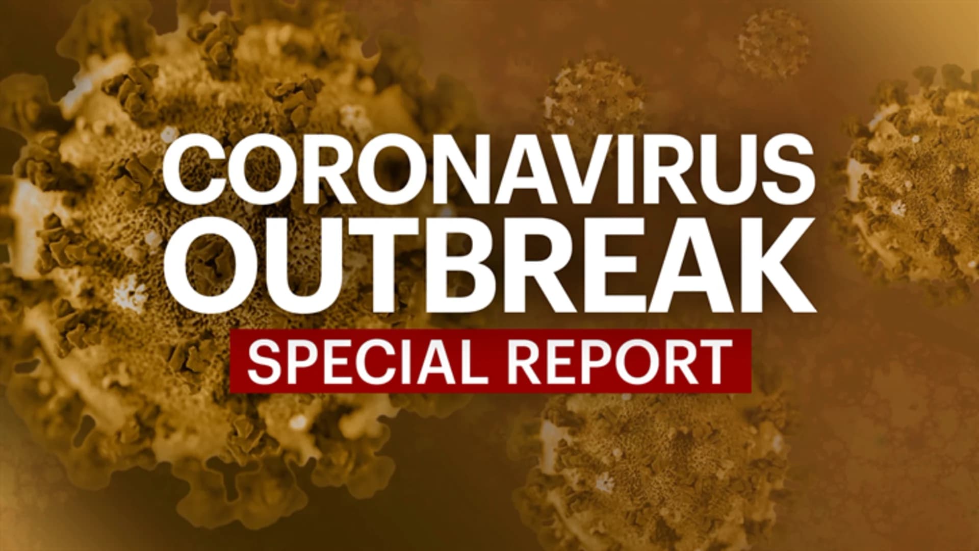 WATCH LIVE: Coronavirus pandemic Q&A special