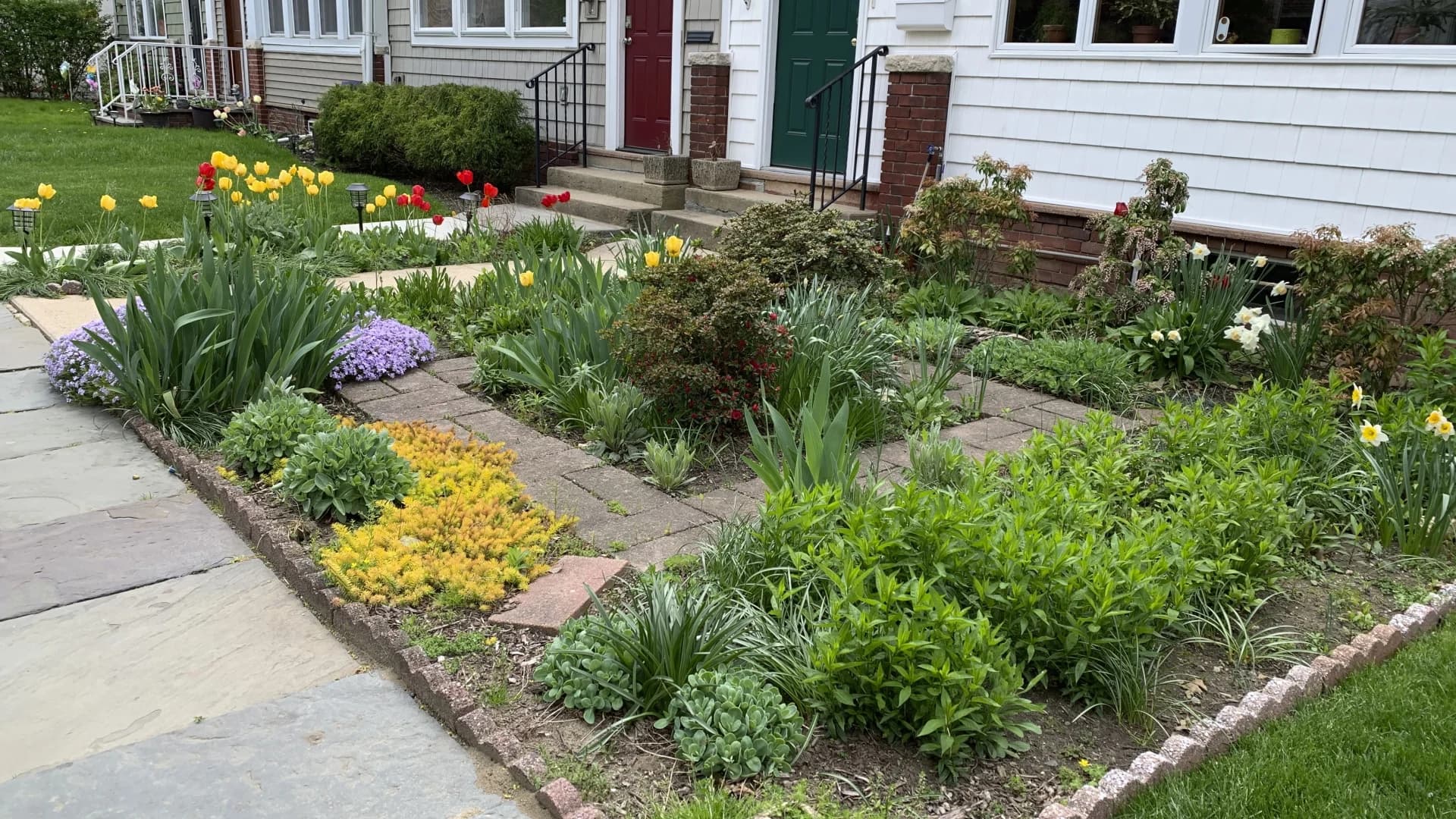 America's love affair with lawns is getting messy; How a New Yorker transformed her lawn to pollinator-friendly, native plants