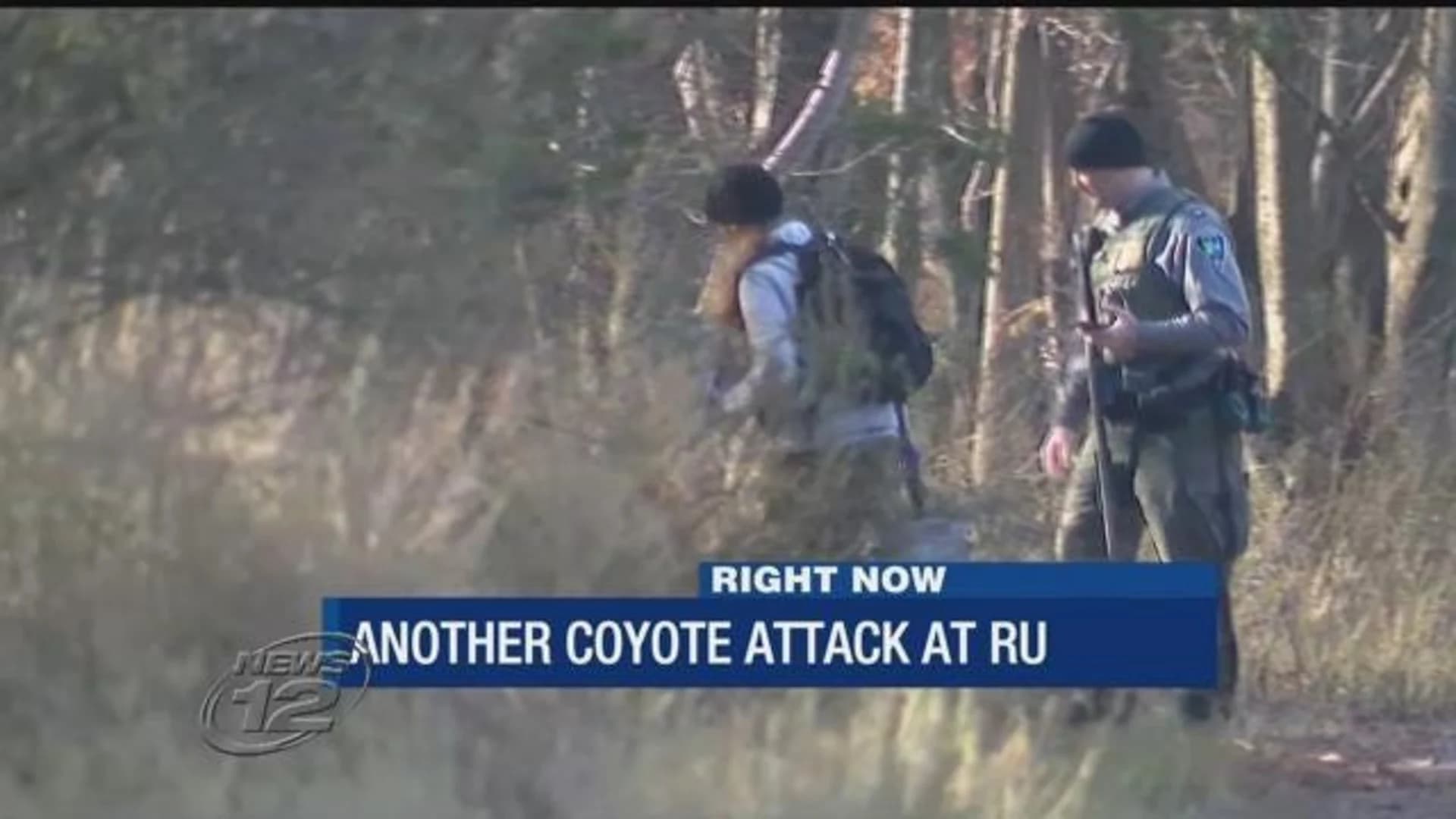 Rutgers students on edge after 2 coyote attacks on campus