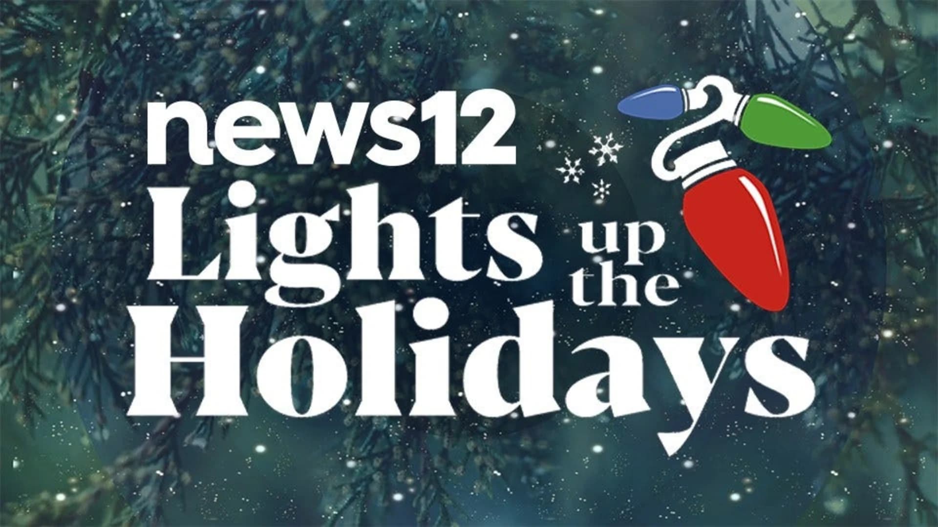 News 12 Lights Up the Holidays voting ends